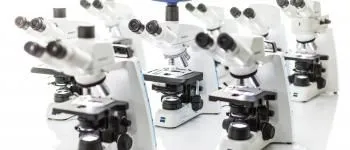 Microscopes droits