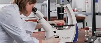 Microscopes inversés Zeiss
