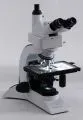 contraste-de-phase-microscope-concept-21-08-2011-e08-5-000561-1