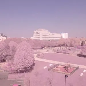 Des filtres pour les caméras GoPro®