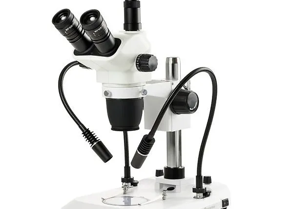 Euromex Nexius Zoom EVO - Loupe Binoculaire Optics Concept