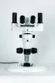 Loupes binoculaires à zoom Micros