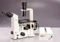 meiji-serie-tc5000-fl-fluorescence-inverse-28-11-2011-e08-5-000681-1