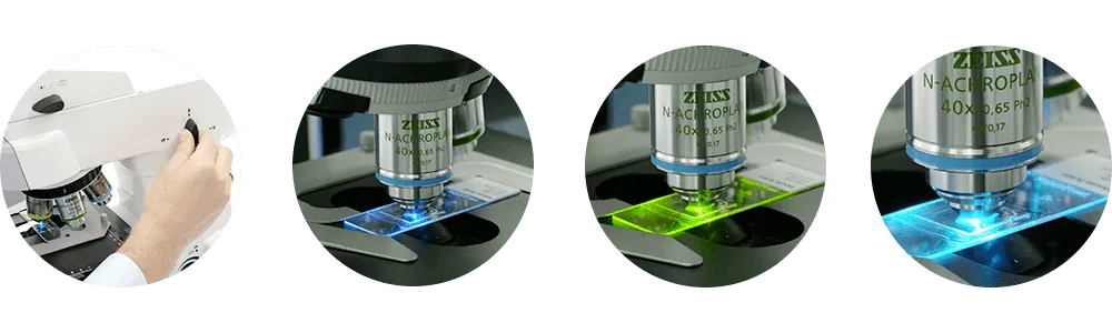 microscope-a-fluorescence-zeiss-axiolab-5-15-04-2021-e08-5-001461-1