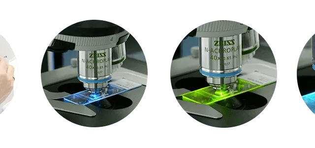 Microscope à fluorescence ZEISS AxioLab 5