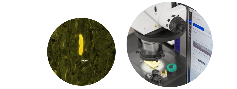microscope-a-zoom-zeiss-axio-zoom-v16-22-02-2022-e08-5-001389-1