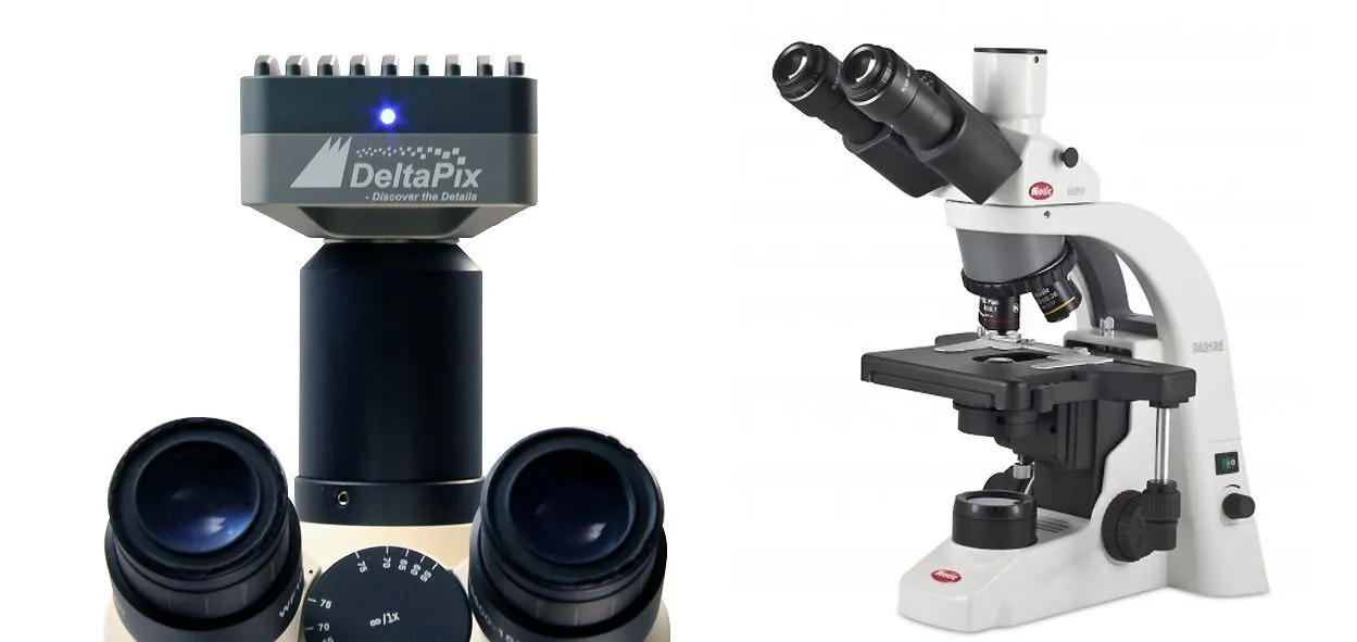 microscope-de-parodontologie-motic-ba210e-03-08-2024-e08-5-001309-1