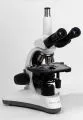 orchid-mcx300-cp-microscope-polarisant-10-05-2013-e08-5-000511-1