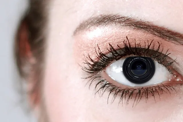 Quels sont les Différents Types d'Objectifs pour la Vision ?