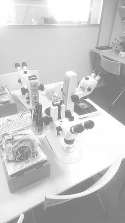 Livraison, installation & formation