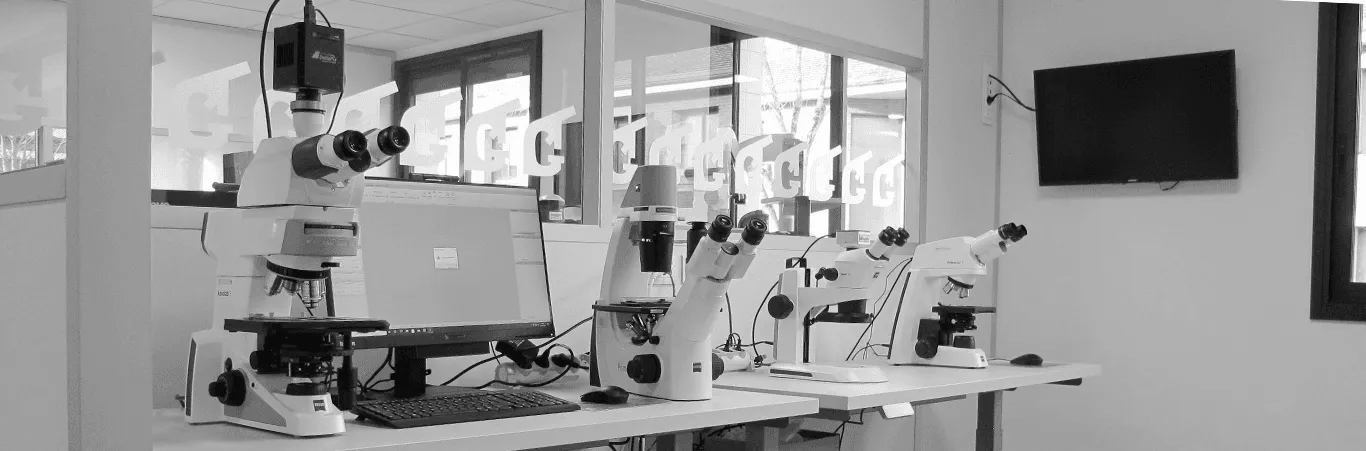 MICROSCOPE CONCEPT — microscopie & imagerie