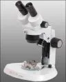 stereomicroscope-sortie-trinoculaire-micros-12-07-2011-e08-5-000533-1