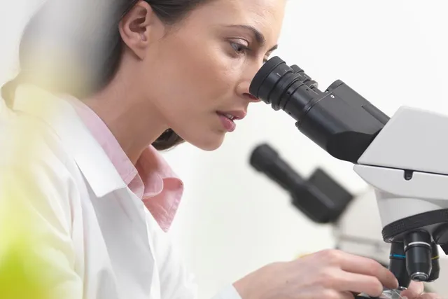 Utilisation de Microscope dans les Sciences des Matériaux