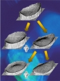 Formation INTERFEROMETRIE Optics Concept