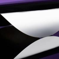 Fabricant de Wafer pour l'Industrie du Semi-Conducteur