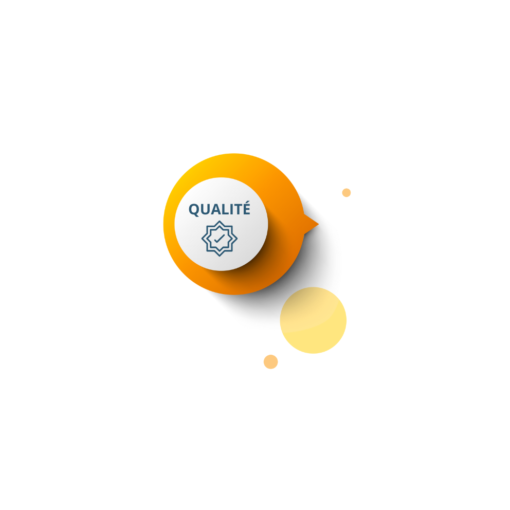 Systme Qualit ISO 9001